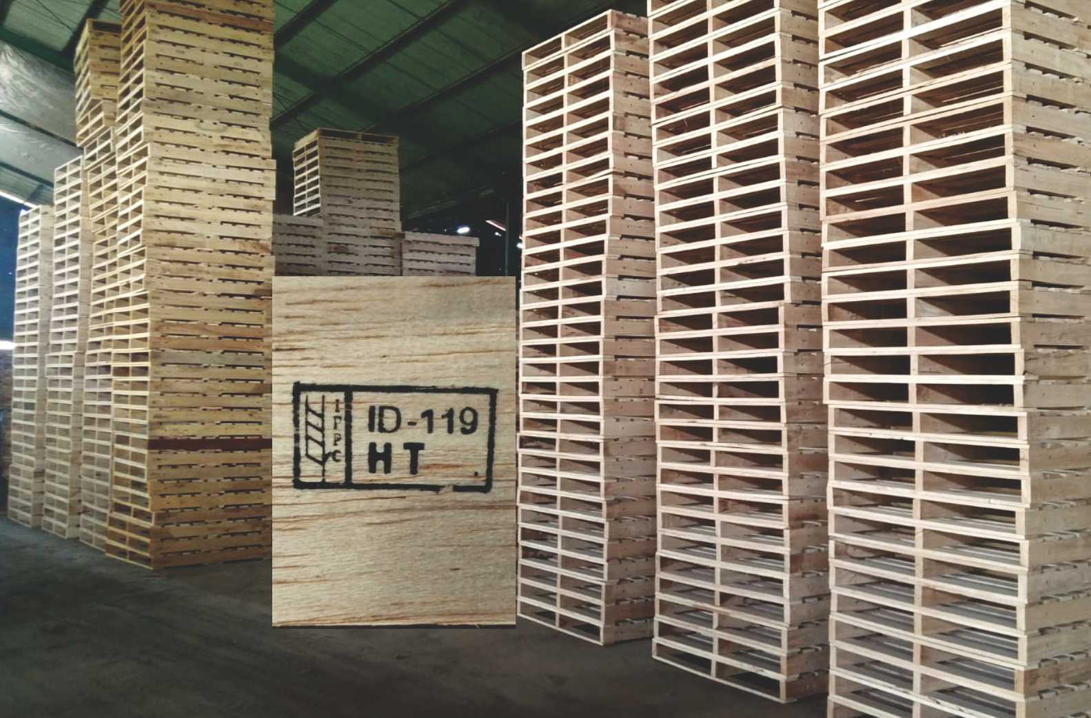 Home palet ekspor depan